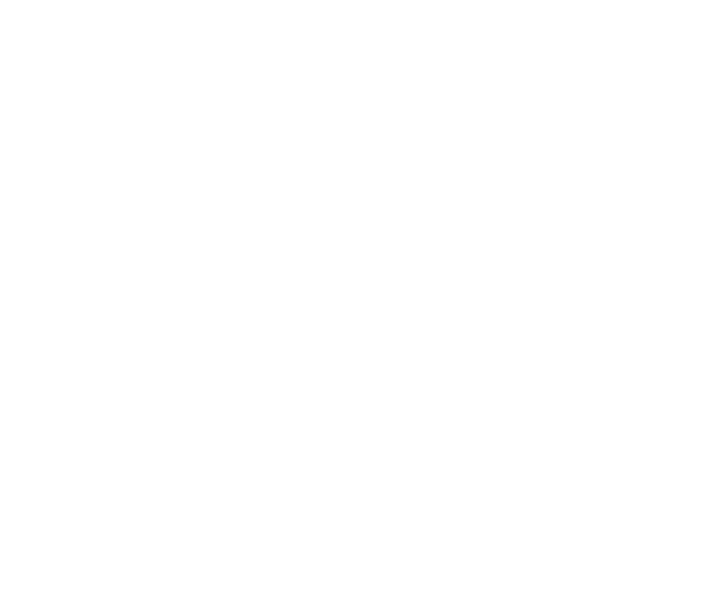 vertical transparente 1024x886